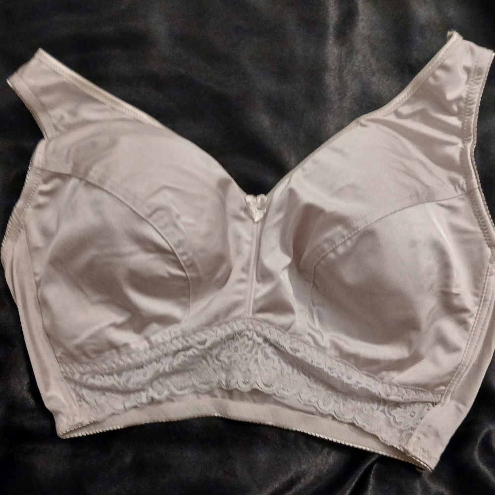 NWOT Rhonda Shear Satin Lace Bra in Cream